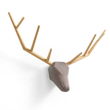 Load image into Gallery viewer, "yy" hunting trophy
