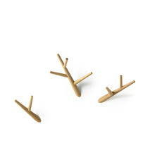 Load image into Gallery viewer, "ivy" coat hooks