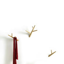 Load image into Gallery viewer, "ivy" coat hooks